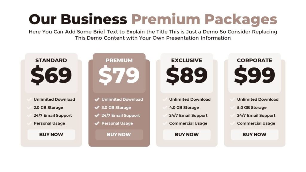 Slide 07 - Pricing Packages Slide for Business Presentation